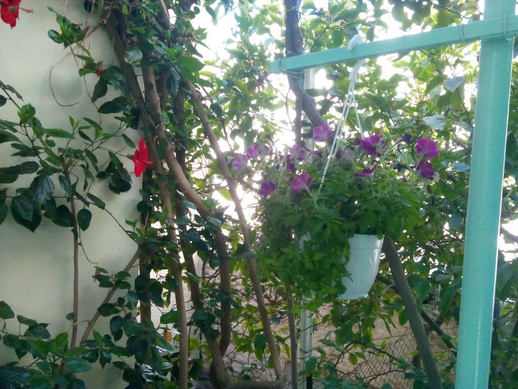 Mary'S Studios Agia Pelagia  Exterior photo